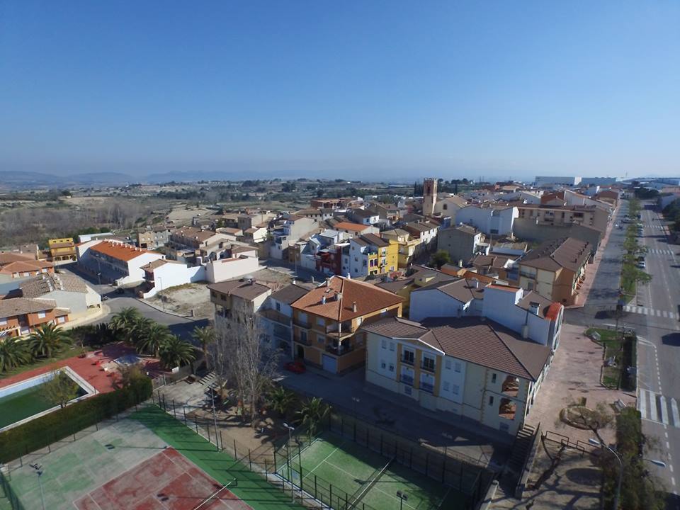 AEDL Ajuntament del Palomar