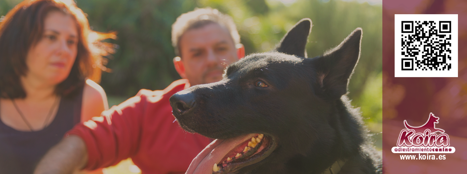 Centro Canino KOIRA SLL
