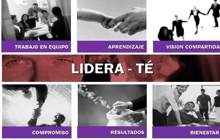 Ampliar imagen