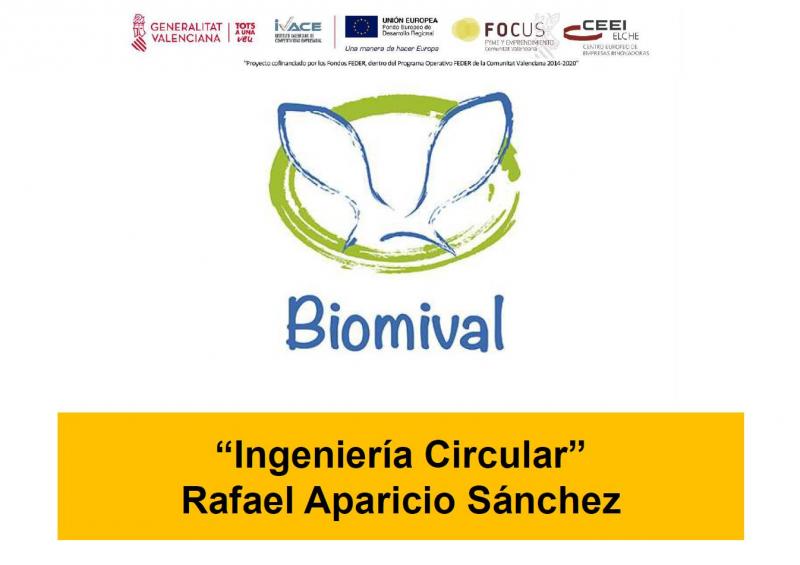Ampliar imagen