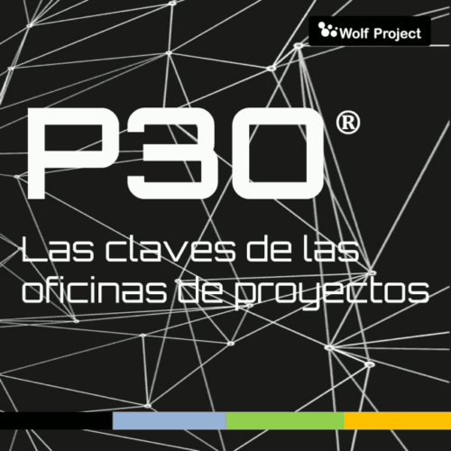 Les claus de les oficines de projectes (PMO)