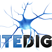Mente Digital - Agencia SEO Barcelona