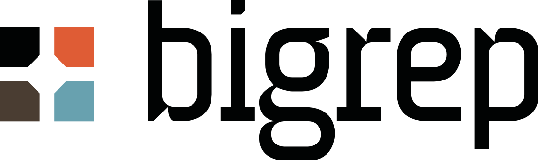 Logo BigRep
