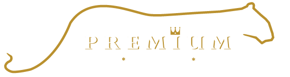 Premium Design & Build