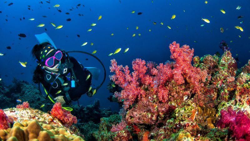 Certificaciones para bucear este verano en España