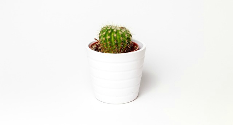 Decoración minimalista. Menos es más.