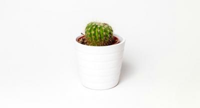 Decoración minimalista. Menos es más.
