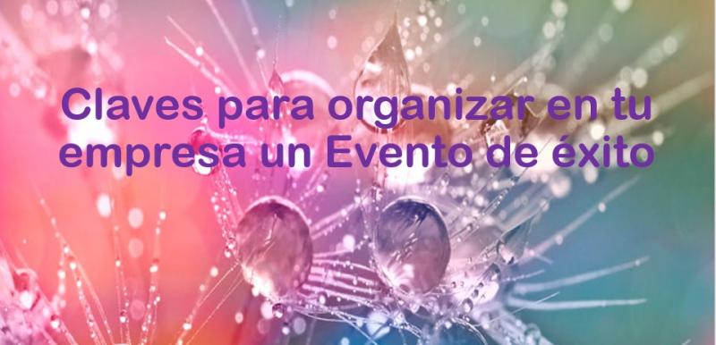 Ampliar imagen