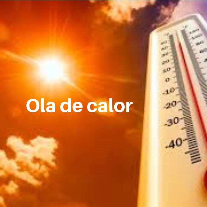 Resistir� nuestro c�sped artificial la ola de calor