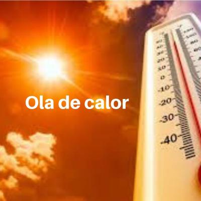 Resistir� nuestro c�sped artificial la ola de calor