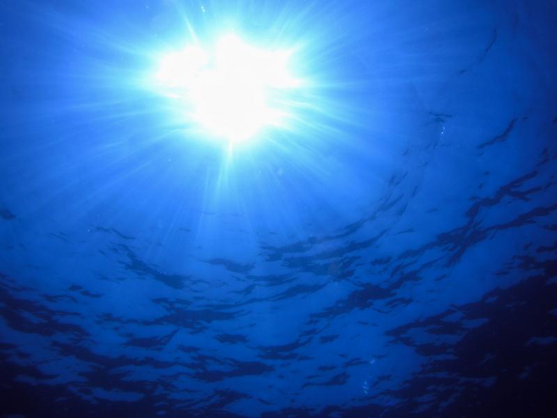 OCEANSNELL Estudios Ambientales Marinos