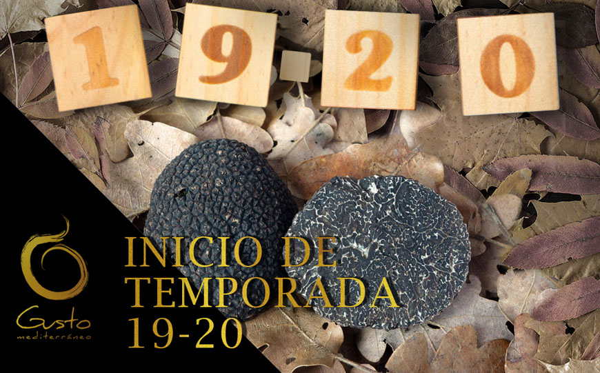 Trufa Negra Silvestre de Teruel