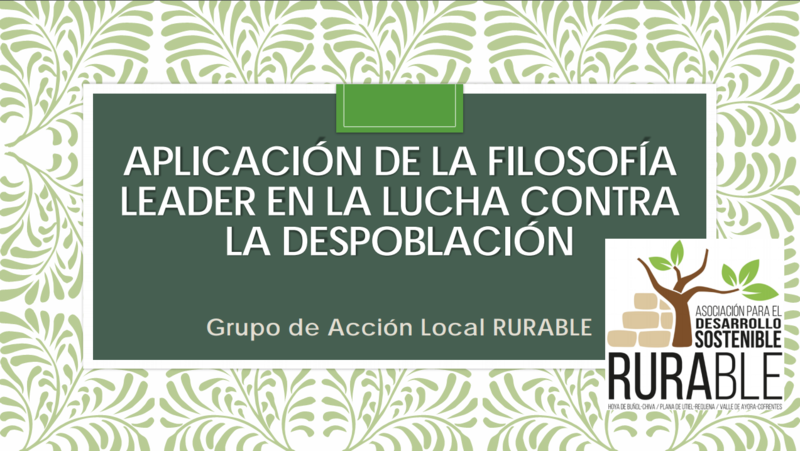 Ampliar imagen