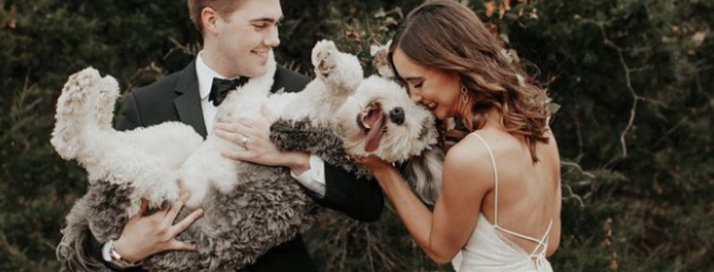 Las mascotas en las bodas