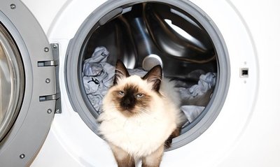 5 aspectos a tener en cuenta a la hora de poner una lavadora