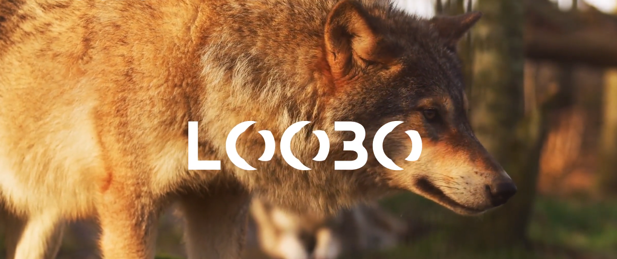 LOOBO