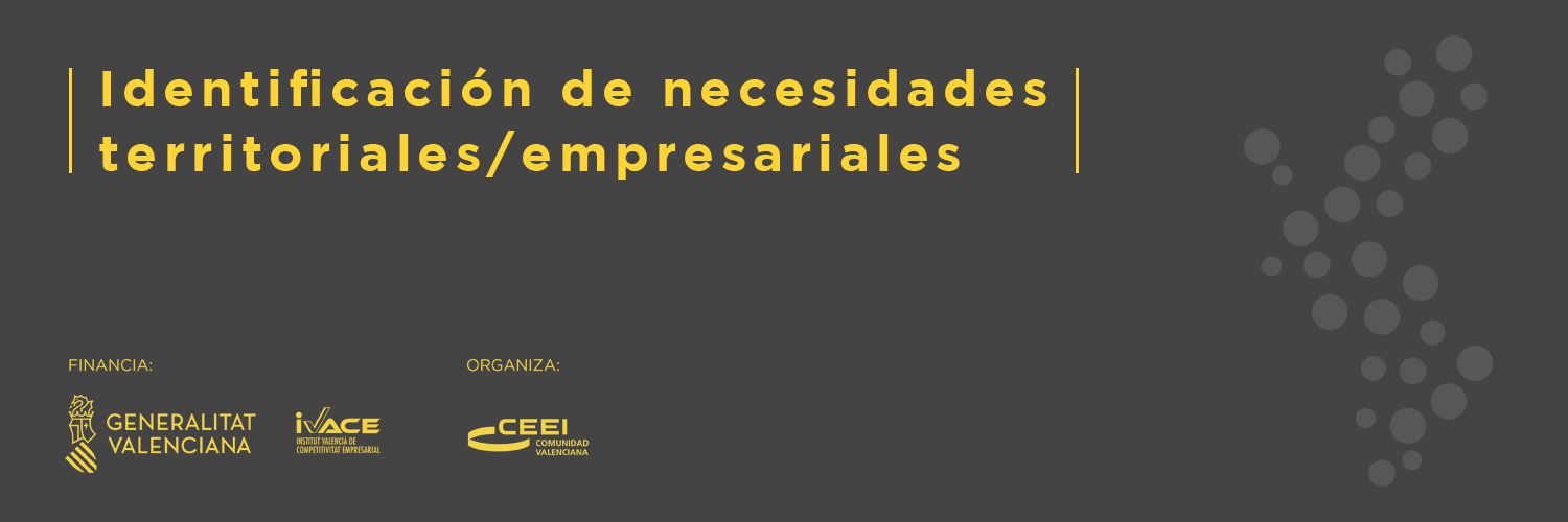 Programa Identificación de Necesidades Territoriales/Empresariales