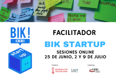 Sesiones online Facilitador BIK Startup