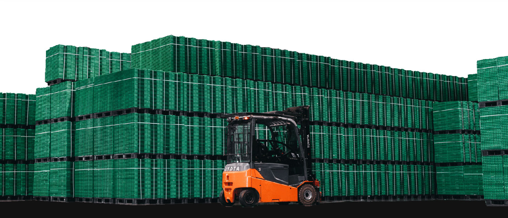 Logifruit S.L.