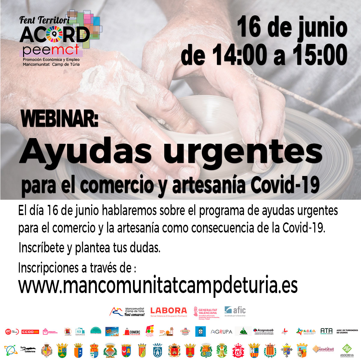 Webinar: Ayudas urgentes para el comercio y artesana