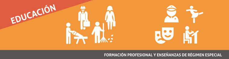 Direcci�n General Formaci�n Profesional