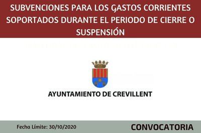 Subvenciones para los gastos corrientes soportados durante el periodo de cierre o suspensin temporal por el Covid19