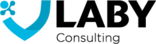 Laby Consulting - Consultoría Informática en Barcelona