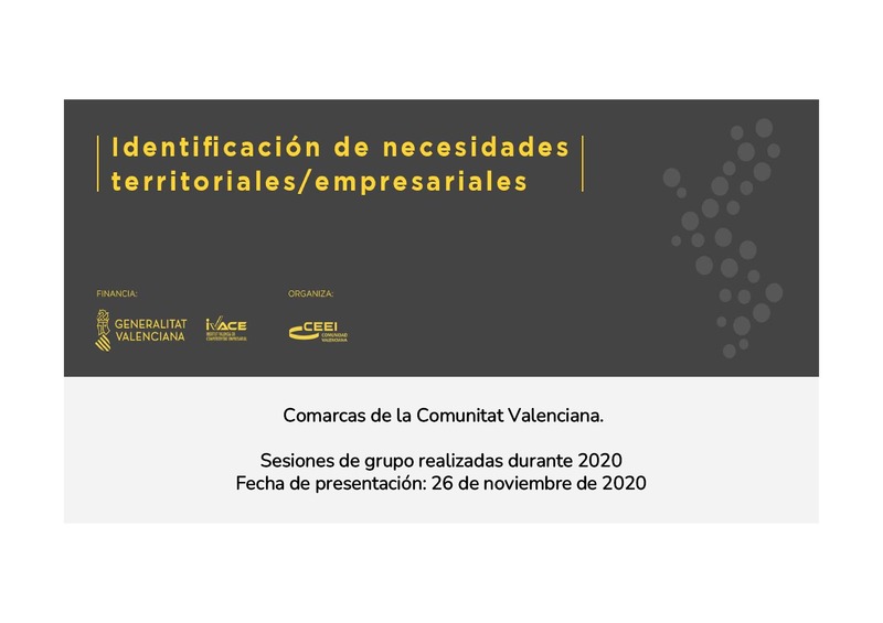 Identificacin de necesidades territoriales y empresariales