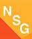 NSG MILAN