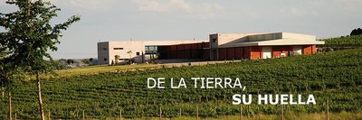 Vinos: conceptos básicos