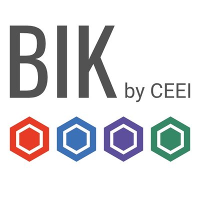 Business Innovation Kit-Bikceei 2020