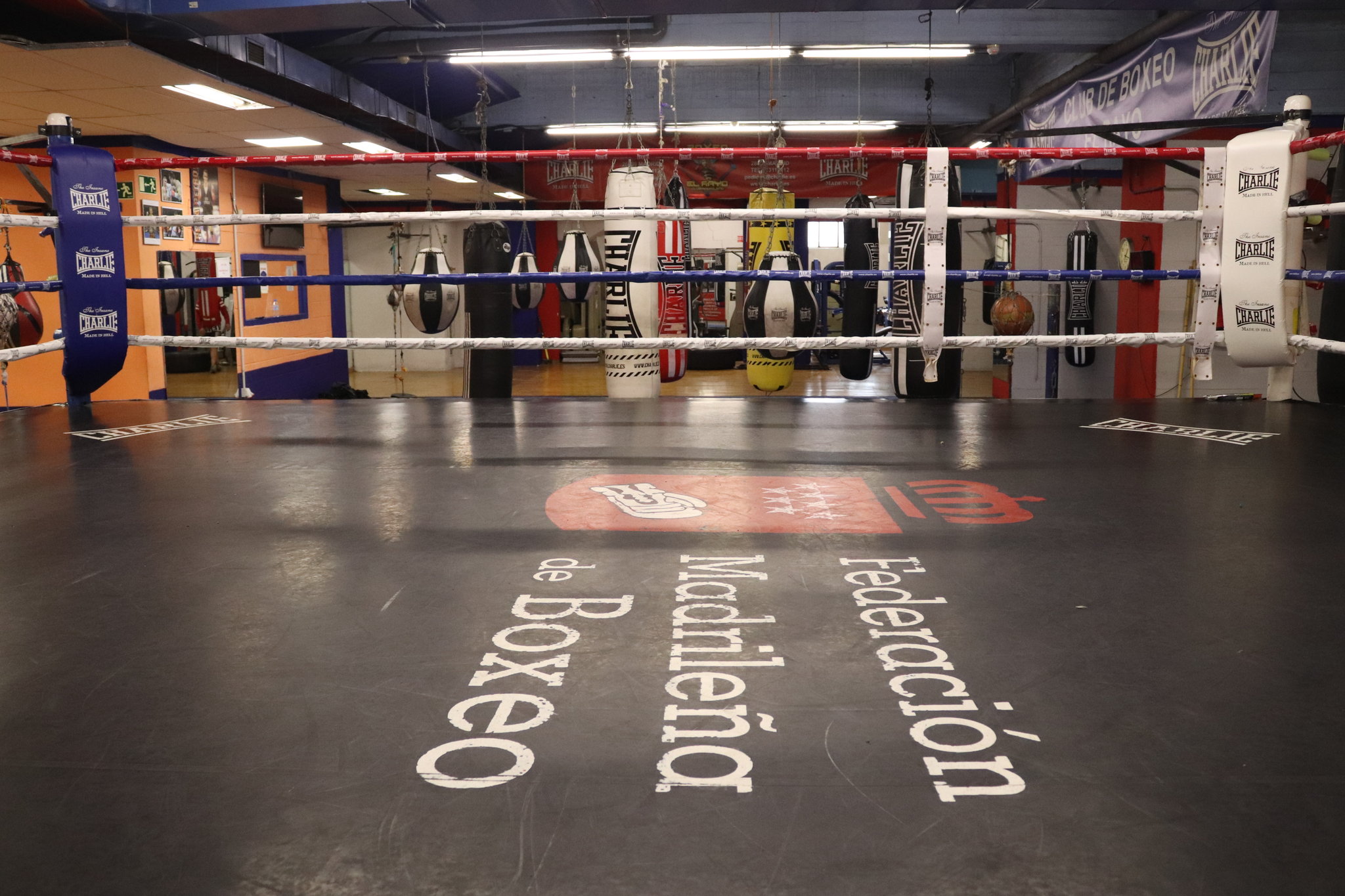 Boxeo El Rayo