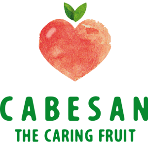 Cabesan SAT N97 CV