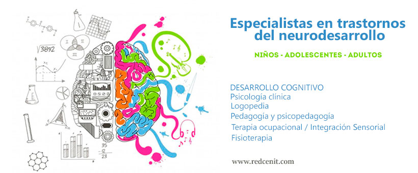 Cedeco Red Cenit S.L.