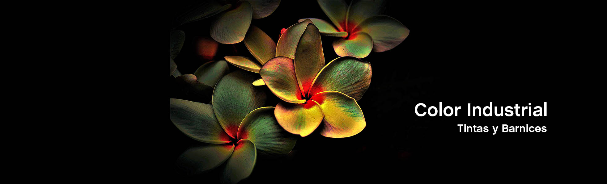 Color Industrial S.A.