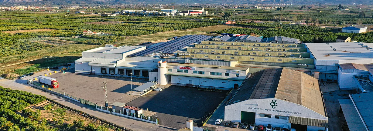Cooperativa del Camp de Vila Nova de Castelló