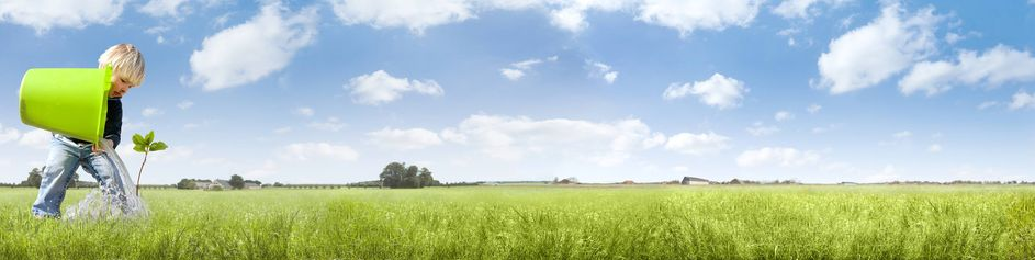 De Heus Nutrici�n Animal, S.A.U.