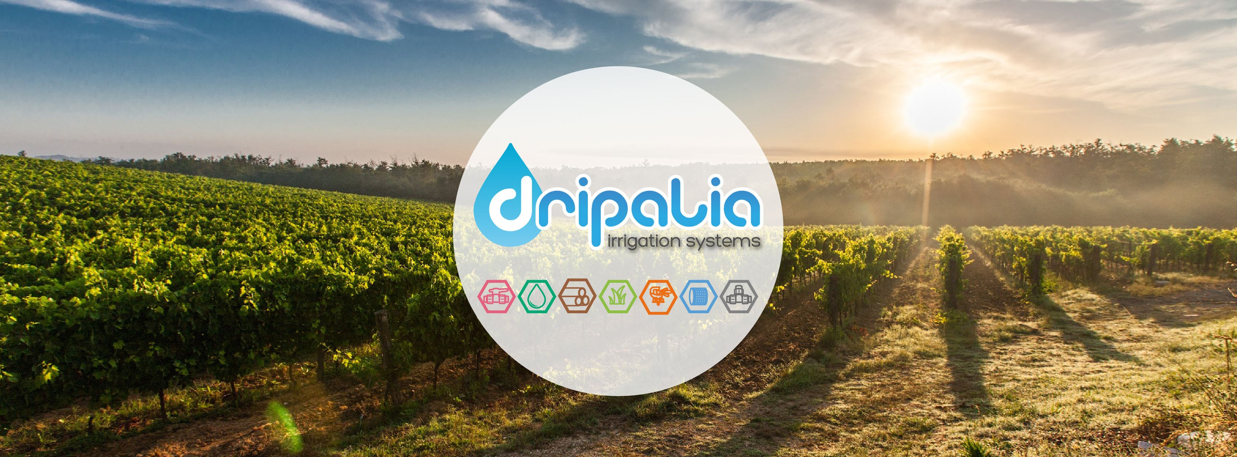 Dripalia S.L.