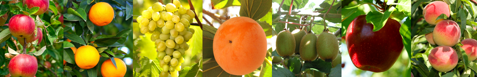 Ecologia Y Proteccion Agricola, S.L.