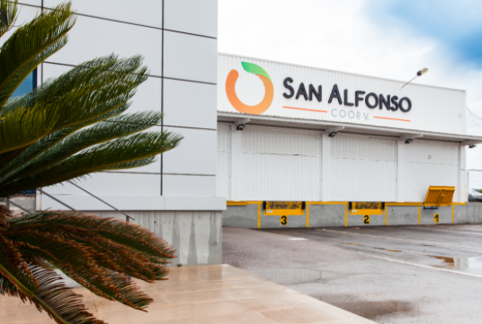 SAN ALFONSO COOP V