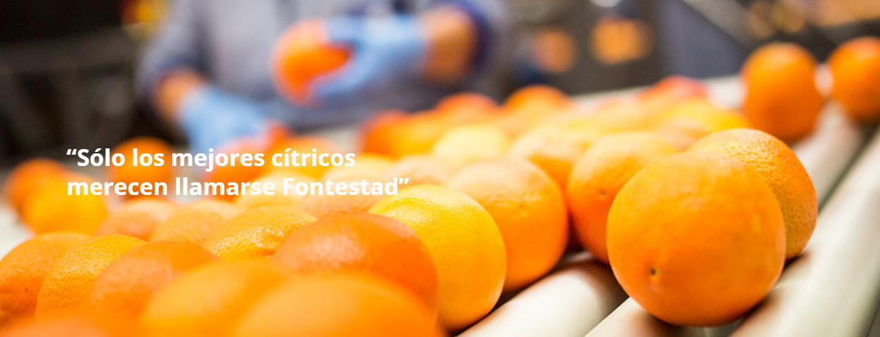 Fontestad Citrus S.L. 