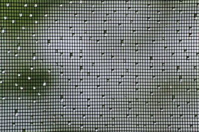 5 beneficios de instalar mosquiteras en casa