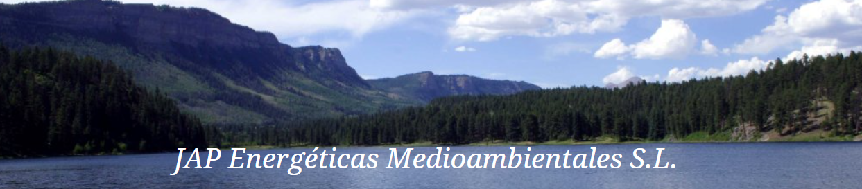 JAP Energ�ticas Medioambientales S.L.