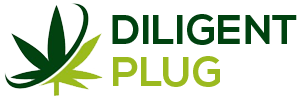 DILIGENT PLUG