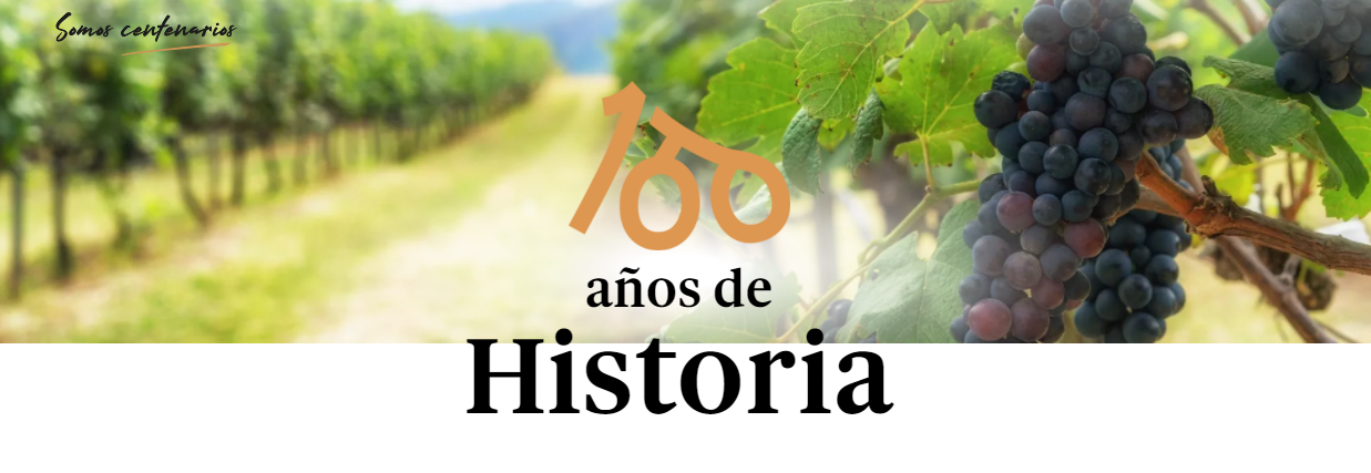 La Baron�a de Tur�s, COOP.V.