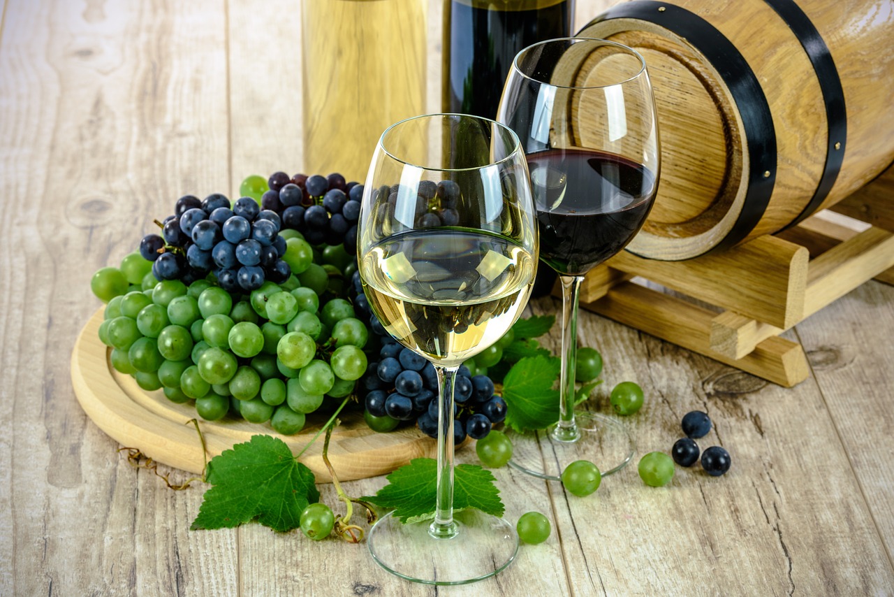 Vinos y Vinos | Comprar Vino Online