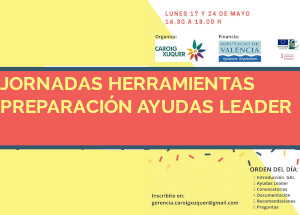 Jornadas online sobre preparacin de ayudas LEADER