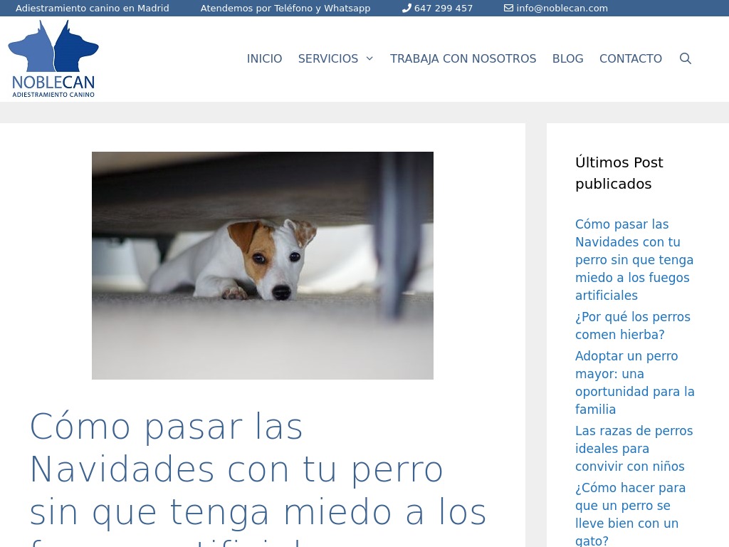 Pincha para ir al sitio web