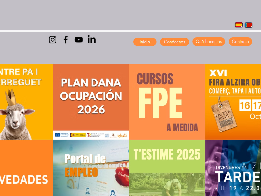 IDEA Alzira
